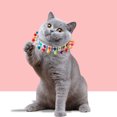 thumbnail image 3 of Pet Collar - Tassel Ball Decoration - Colorful Adjustable Dog Neck Strap - Cat Collar, 3 of 8