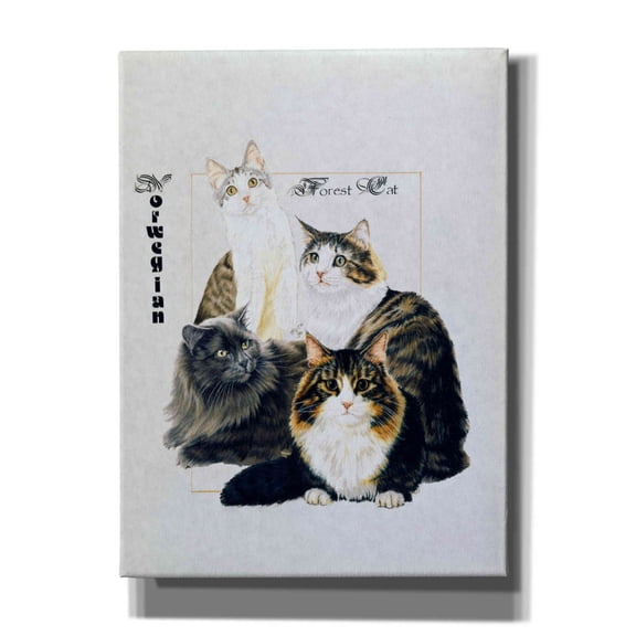 Epic Graffiti 'Norwegin Forest Cat' by Barbara Keith, Canvas Wall Art, 40"x54"
