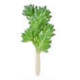 thumbnail image 2 of Coofit Artificial Succulent Creative Fashion Decorative Artificial Plant Faux Succulent, 2 of 9
