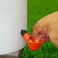 thumbnail image 5 of Amerteer 20PCS Poultry Drinking Watering Cups for Chicken/Quail Water Cups Drinker Automatic Farm, 5 of 9