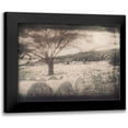 thumbnail image 1 of Sommers, Mindy 14x12 Black Modern Framed Museum Art Print Titled - Moon Bales, 1 of 5