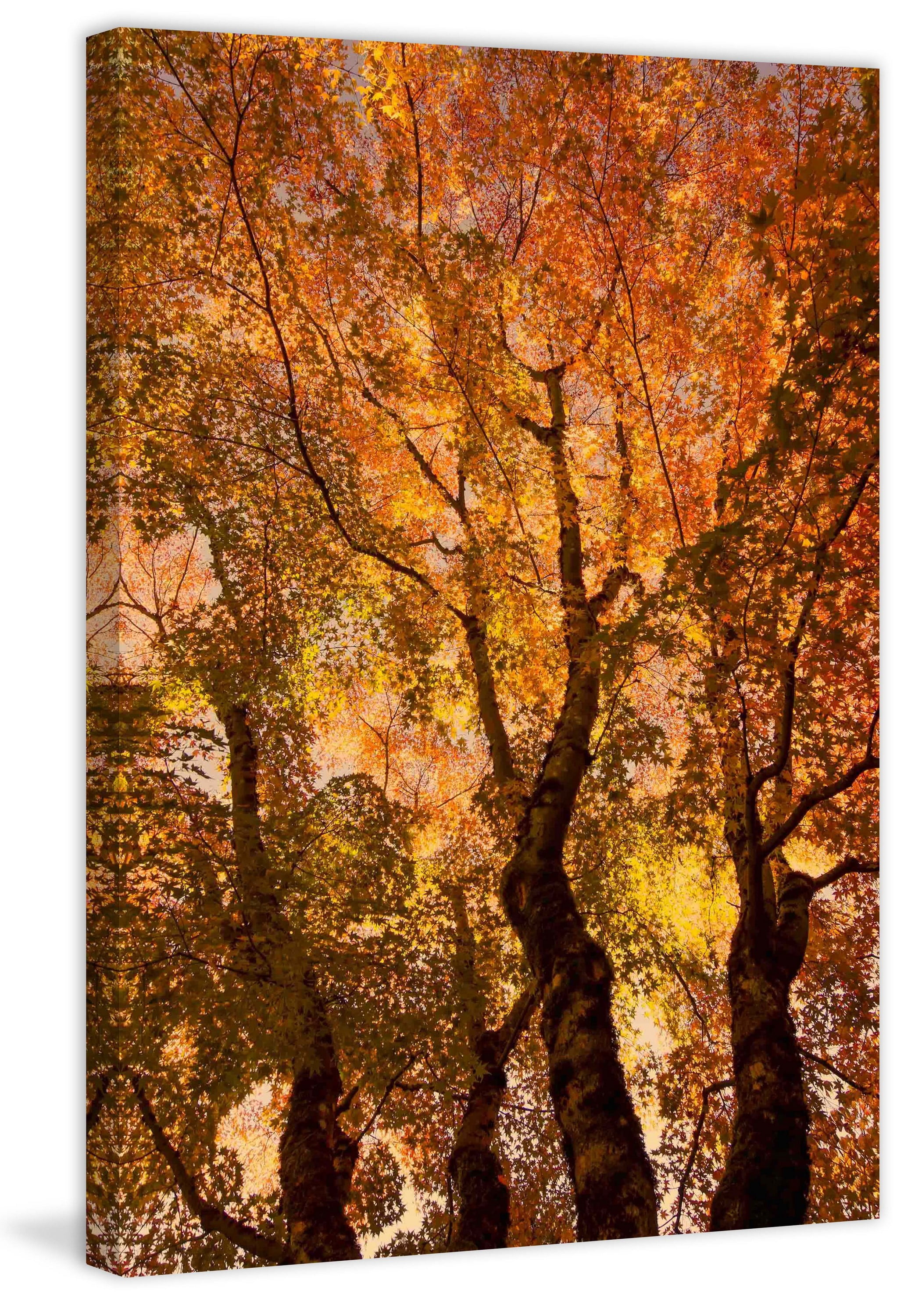 "The Trees Dance" Painting Print on Canvas