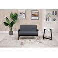 thumbnail image 3 of Lilola Home Bahamas 45" W Dark Gray Loveseat, 3 of 12