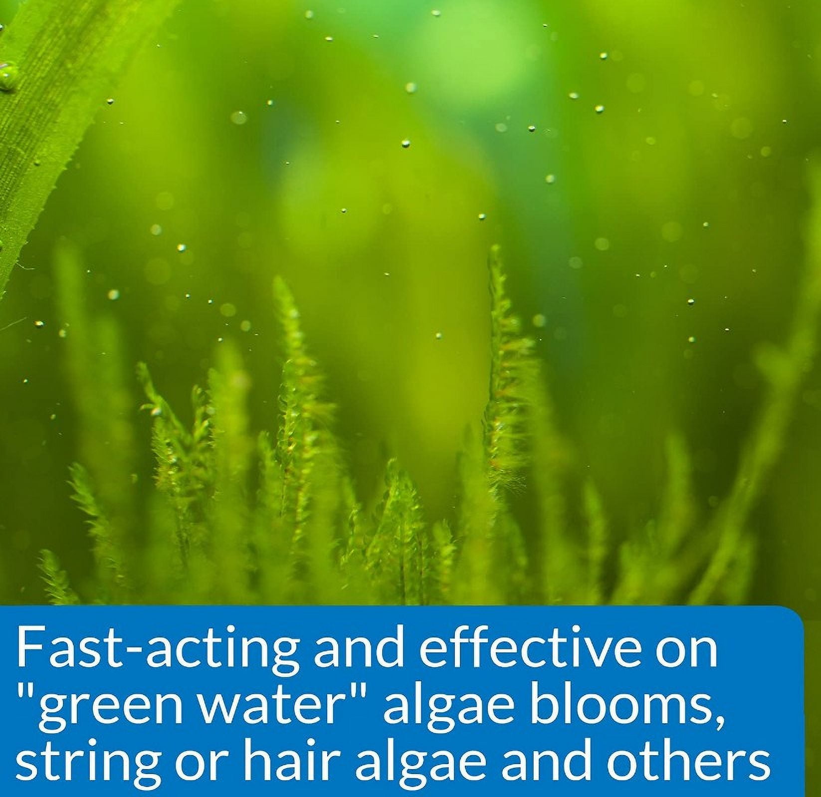 API AlgaeFix Controls Algae Growth for Freshwater Aquariums [Aquarium Algaecides, Aquarium Supplies] 16 oz (4 x 4 oz)
