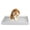 Large + Extra Large Steel Holes Grids, variant on Small Animal Litter Box Medium For Rabbits Guinea Pigs And Other Pets