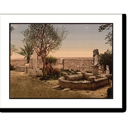 Historic Print, Museum garden Carthage Tunisia, 16" x 20"