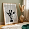 thumbnail image 6 of Baby Giraffe - Photography Animal Wildlife Black and White Minimalist Nature Portrait Surrealism Unframed Wall Art Print 24 x 36 inches, 6 of 60
