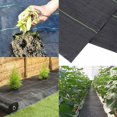 thumbnail image 4 of Tela de mantillo Tela anti-maleza Lona anti-maleza Anti-UV Resistente al desgarro para patios Jardín Macizos de flores (2 x 5 m)-, 4 of 4