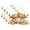 B216, variant on Ryvnso Placemats Set of 4 Two Highland Cattle Dining Mats Heat-Resistant Non-Slip Washable Table Mat