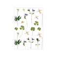 thumbnail image 1 of Injueey Pegatinas Retro elegantes de flores y plantas para proyectos de bricolaje, pegatinas transparentes de PET para álbum de recortes cartulina No.04, 1 of 6