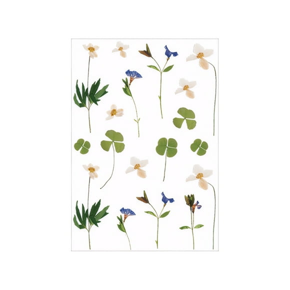 Methold Exquisitas pegatinas de flores, hojas y plantas para hacer álbumes de recortes, pegatinas transparentes de PET, margaritas, fáciles cartulina No.04