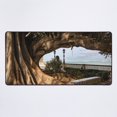 thumbnail image 1 of Una nueva alfombrilla de escritorio Bajo la sombra del árbol del caucho, 1 of 5