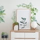 thumbnail image 3 of Calcomanías de pared de plantas verdes (2 hojas/juego), calcomanías de vinilo extraíbles con ramas, hojas y enredaderas., 3 of 9