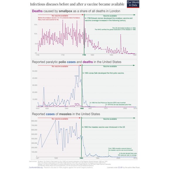 24x36 gallery poster, Effect of Vaccination on Polio, Smallpox and measles