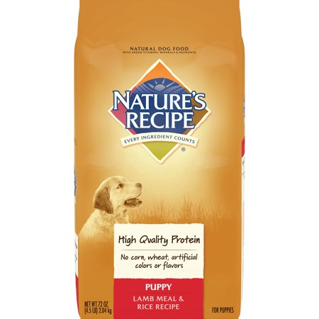 Nature's Recipe Puppy Lamb Meal & Rice Recipe, (Best Sona Masoori Rice Brand In Usa)