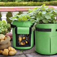 thumbnail image 1 of Green Potato Grow Bags 4 Gallon Garden Planting Bag Aeration Fabric Pot With Handles For Planter 3 Pack, 1 of 2