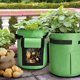 thumbnail image 1 of Green Potato Grow Bags 4 Gallon Garden Planting Bag Aeration Fabric Pot With Handles For Planter 3 Pack, 1 of 2