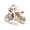 A 4, variant on Yihuala 2D Flat Acrylic Ornament Golden Toads/Motorcycle/Tree/Gnomes Statues Desktop Decorations for Home Offices Decorations