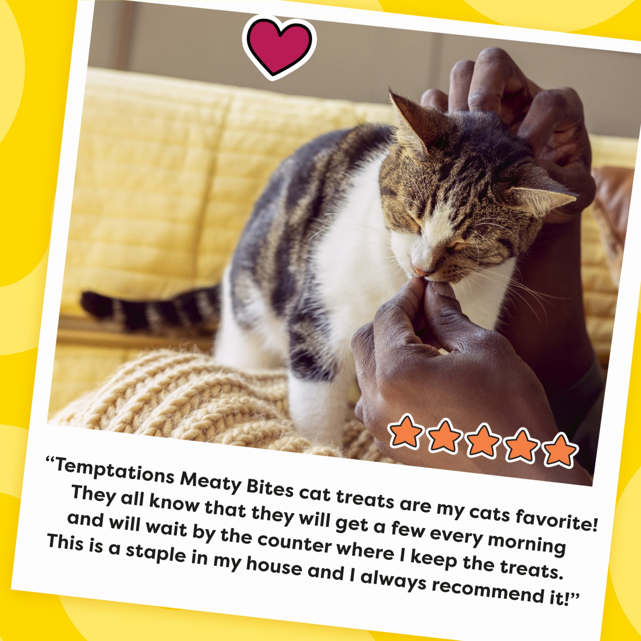 Cats favorite treats online