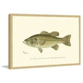 thumbnail image 2 of "Large Black Bass" Framed Painting Print, 2 of 7