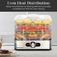 thumbnail image 3 of Elite Gourmet EFD3321X - Deshidratador de alimentos, bandejas de acero inoxidable, controles de temperatura ajustables, ceca, hierbas, frutas, verduras, aperitivos secos, acero inoxidable, 3 of 5