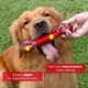 thumbnail image 2 of Tough Dog Toys For Aggressive Chewers Large Breed, Dog Chew Toys, Durable Dog Toys, Dog Bones Made With Nylon And Rubber, Big Indestructible Dog Toy, 2 of 5