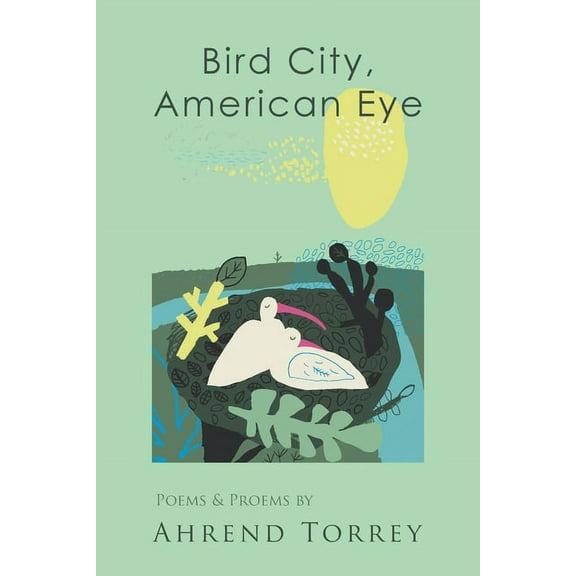 Bird City, American Eye (Paperback)