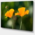 thumbnail image 2 of Fleurs Orange et Abeille Volante - Impression sur Toile Florale, 2 of 3