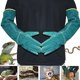 thumbnail image 1 of Guantes para manipular animales a prueba de mordeduras 62 cm JINMJMXG Color verde, 1 of 3