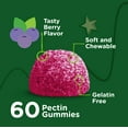 thumbnail image 4 of VITEEY Kids Zinc Gummies 15mg, Kids Immune Support Zinc Supplement, Berry Flavor, 60 Ct, 4 of 7