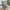 Teal, variant on Modern Accent Armchair, Comfy Living Room Chair with Lumbar Pillow & High Back, Linen Fabric Upholstered Single Sofa Reading Chair with Solid Wood Legs for Bedroom Living Room Office, Orange