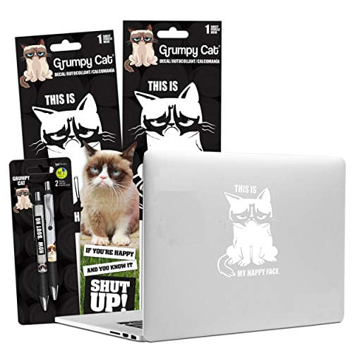 grumpy cat merchandise