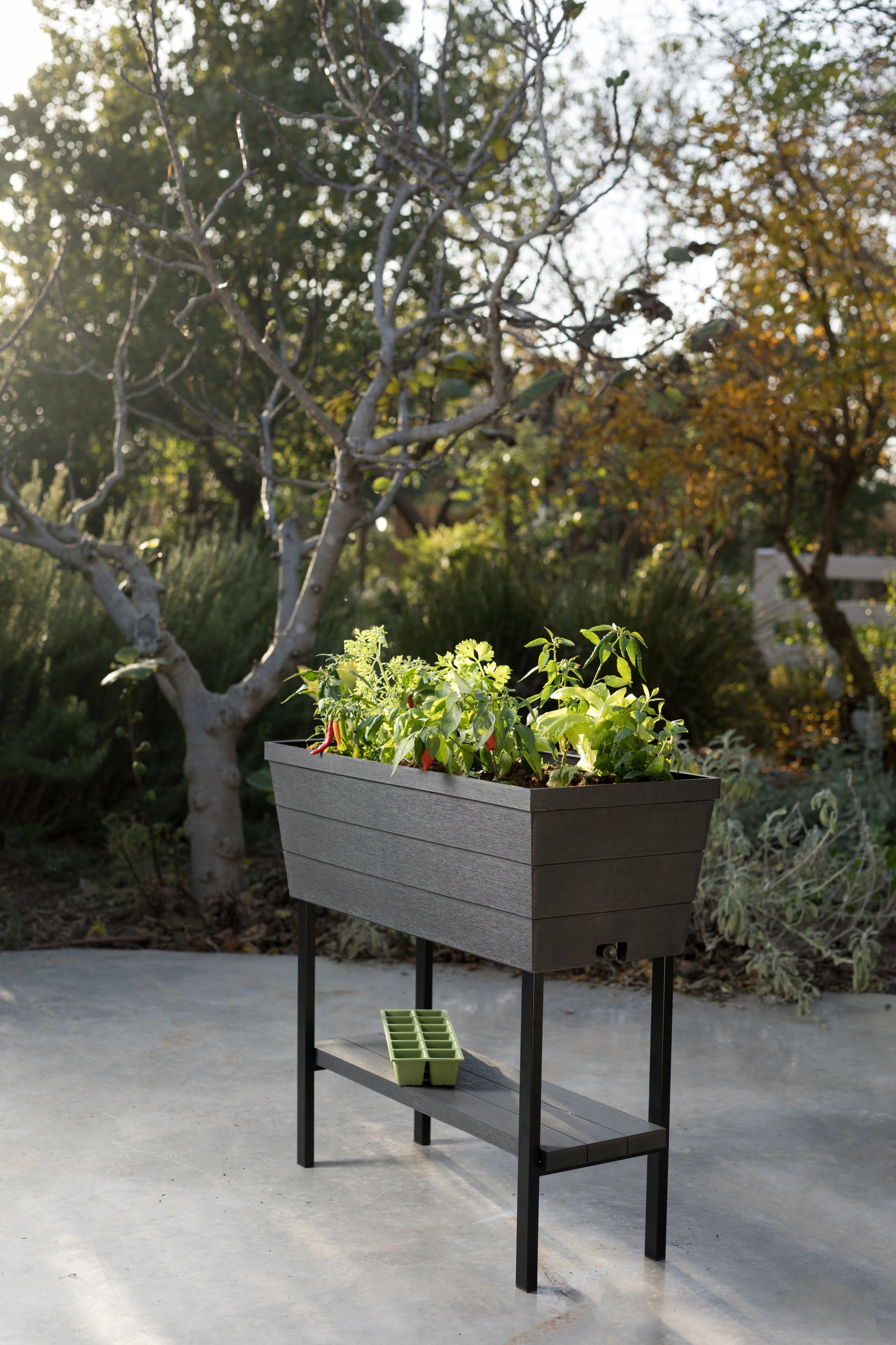 Keter Urban Bloomer 12.7 Gallon Raised Garden Bed and Outdoor Herb Garden Planter with Drainage Plug, Dark Grey
