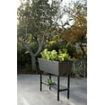 thumbnail image 3 of (2 pack) Keter Urban Bloomer 12.7 Gallon Raised Garden Bed and Outdoor Herb Garden Planter with Drainage Plug, Dark Grey, 3 of 17