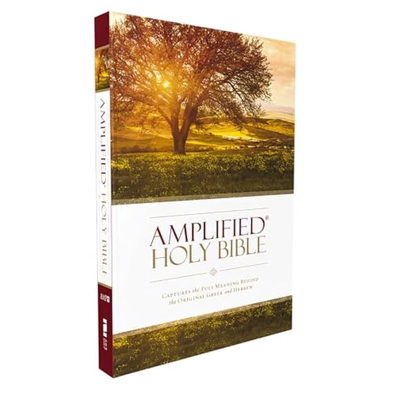 Pre-Owned Amplified Holy Bible, Paperback: Captures the Full Meaning Behind the Original Greek and Hebrew Paperback