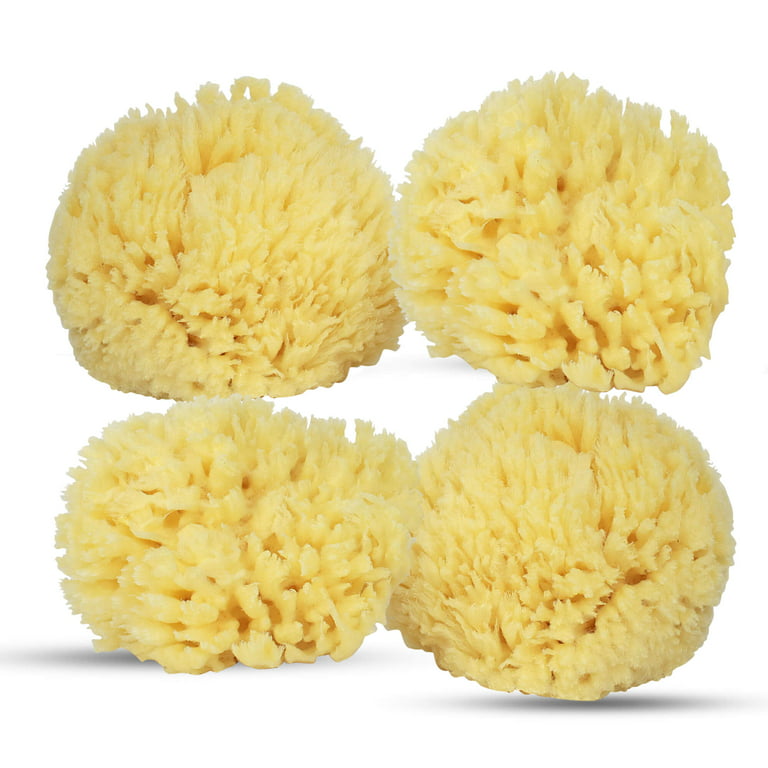  Baby Buddy Natural Yellow Sea Sponge, Newborn Bath Time  Essential, Soft and Gentle for Tender Skin, Hypoallergenic and  Biodegradable, 1 Pack : Baby