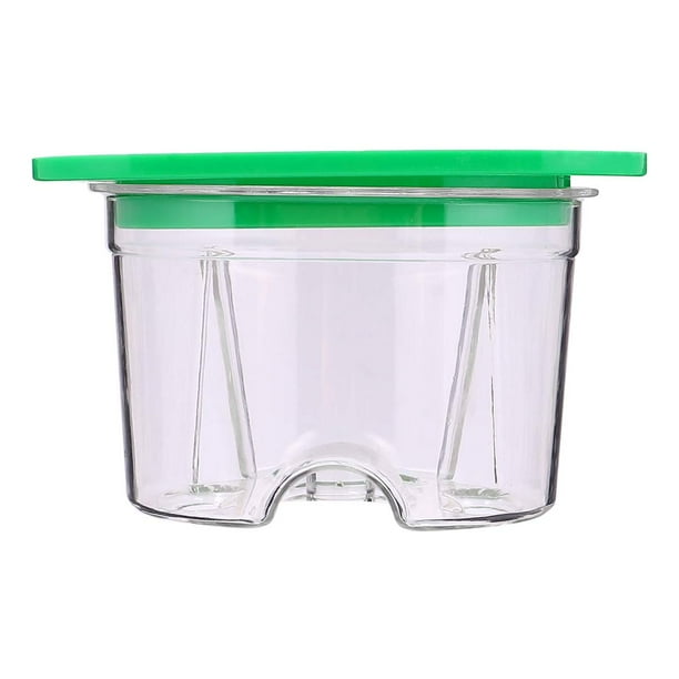 Denture Case Denture Storage Container Denture Bath Box Perfect To Safe