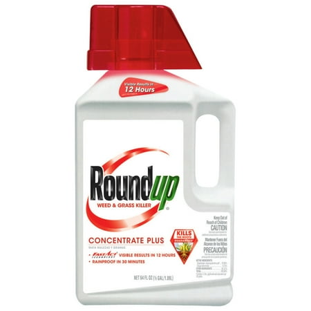 Roundup Weed & Grass Killer Concentrate Plus (Best Brush Killer Concentrate)