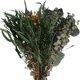 thumbnail image 3 of Gpoty - 123 tallos de eucalipto secos reales mixtos para ducha, para colgar en el cabezal del rociador del baño con lavanda, tallos de eucalipto verde fresco con flores secas, ramo mixto, 3 of 8