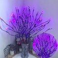 thumbnail image 1 of 30 Inch Branch Twig Christmas Decor Lights 20 LED Branches Lights Flexible Simulation Tree Branches Decorative Light Lighted Tree Branches For Vase Decorations Indoor Valentine decorations outdoor, 1 of 6