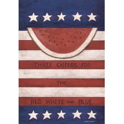 LANG RED WHITE & BLUE LARGE FLAG