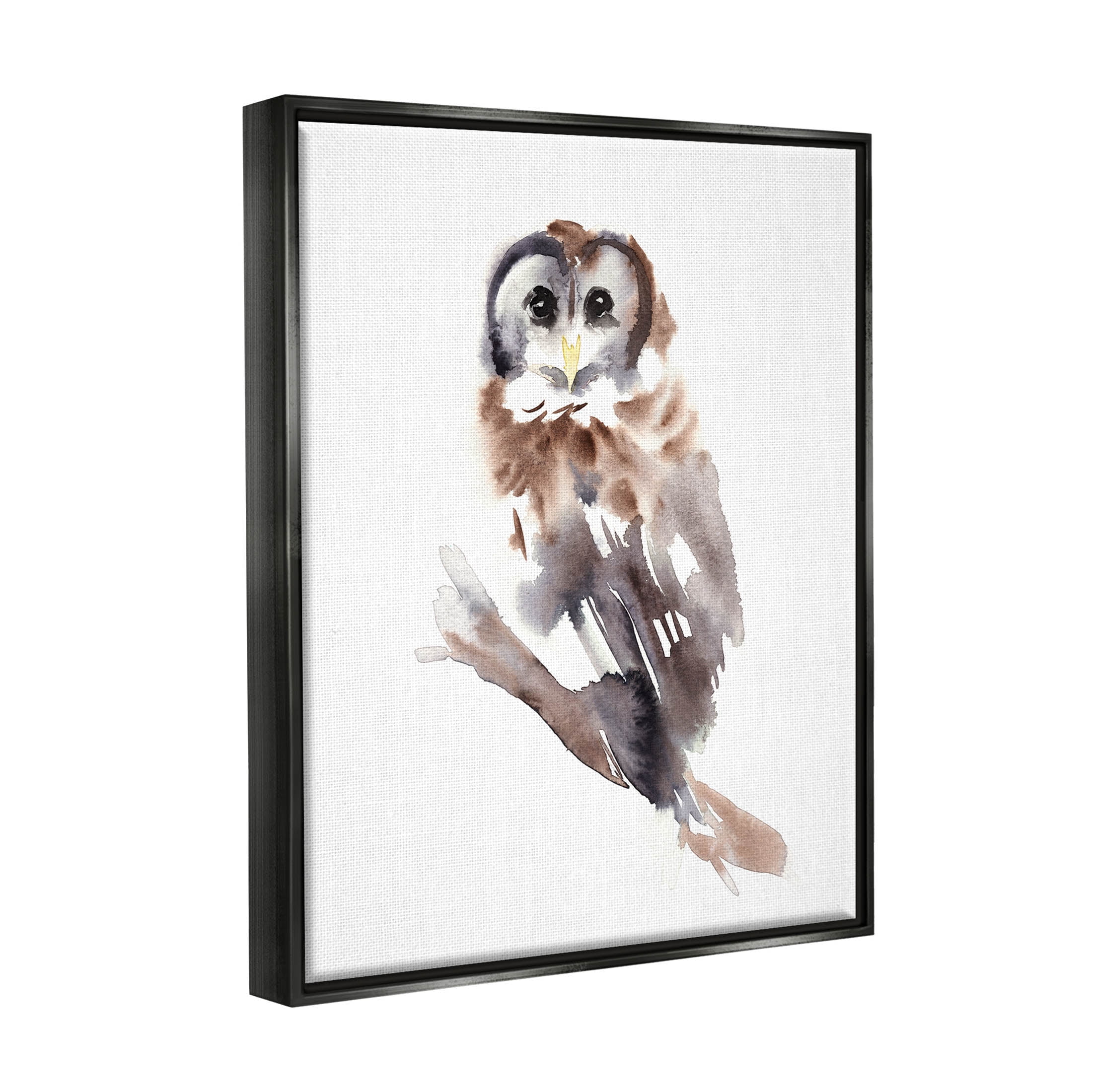 Stupell Industries Perched Owl Gazing Watercolor Style Painting Jet Black Floating Framed Canvas Print Wall Art, Design by Annie Warren