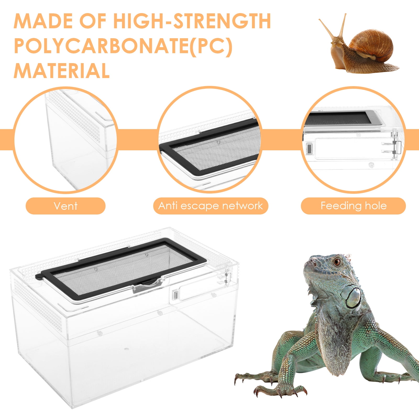 Wekvgz Reptile Terrarium Clear Breathable Reptile Breeding Box Multipurpose Gecko Container for Snake Tarantula Hermit Crab Jumping Spider
