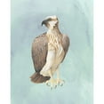 thumbnail image 3 of Popp, Grace 20x24 Black Modern Framed Museum Art Print Titled - Watercolor Beach Bird IV, 3 of 5