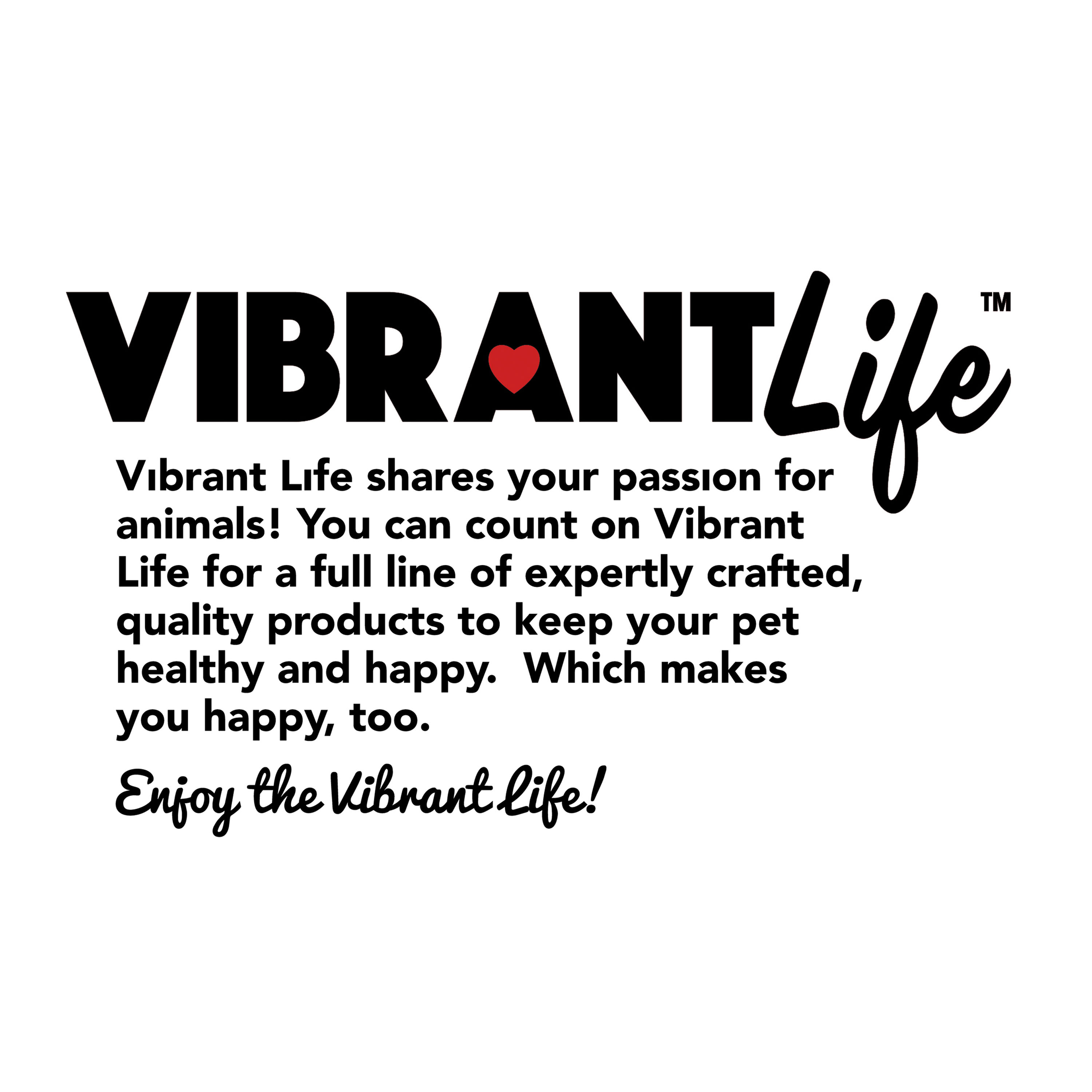Vibrant Life Plastic Pet Bowl, Dog Characters, Medium