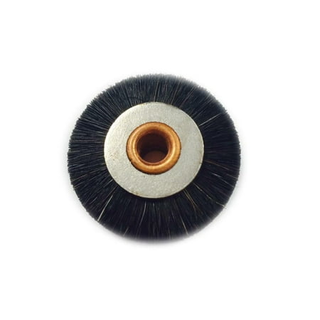 

Small Feeder Brush Roland 40mm x 6mm Equipment Part Roland Offset Parts