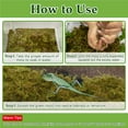 thumbnail image 4 of Halatool 1.1LB Natural Sphagnum Moss for Reptiles- 25QT Green Live Moss for Terrarium Plants Long Fiber Reptile Moss for Leopard Gecko Snake Hamsters Tortoises Frogs Lizards Salamanders, 4 of 7