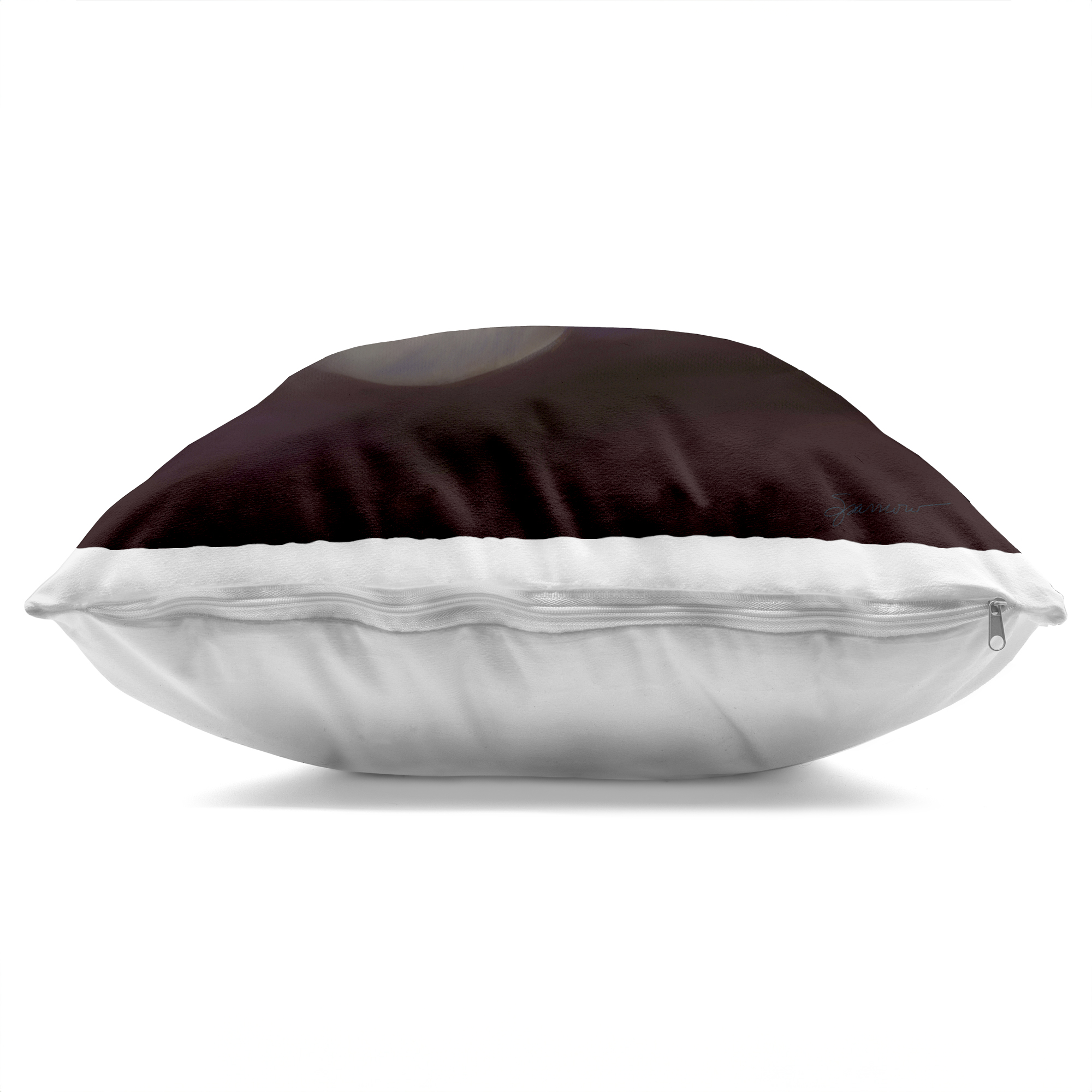 Stupell Industries Seashell Treasure of Sea Decorative Printed Throw Pillow, design by Mary Sparrow