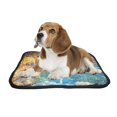 thumbnail image 2 of PKQWTM Nature Scenery Majestic View Turquoise Water Sunny Beams Pet Dog Cat Bed Pee Pads Mat Cushion Potty Dogsblankets Crate Bed Kennel 20x24 inch, 2 of 3