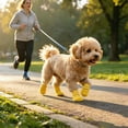 thumbnail image 4 of CSStudio 4 Pack Non Slip Dog Socks with Adjustable Straps, Waterproof Rubber Bottom Pet Paw Protector Booties, Anti Licking Traction Shoes for Indoor Floor & Light Outdoor Walks, 4 of 6
